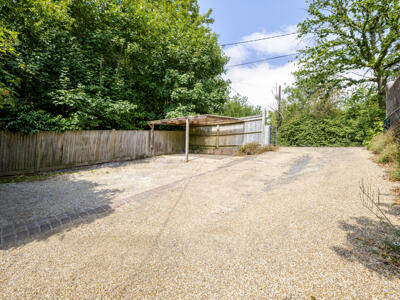 Picture 20